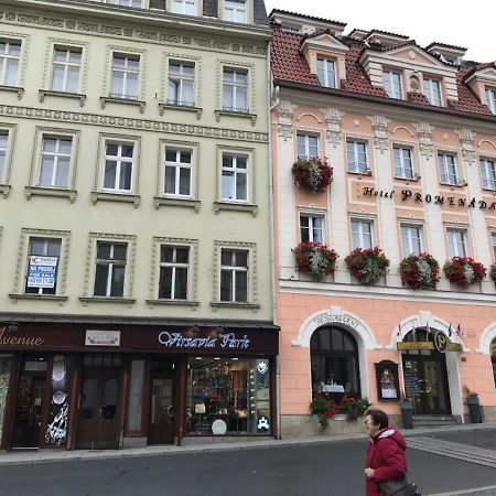 New Cosy Studio Karlovy Vary Exterior foto